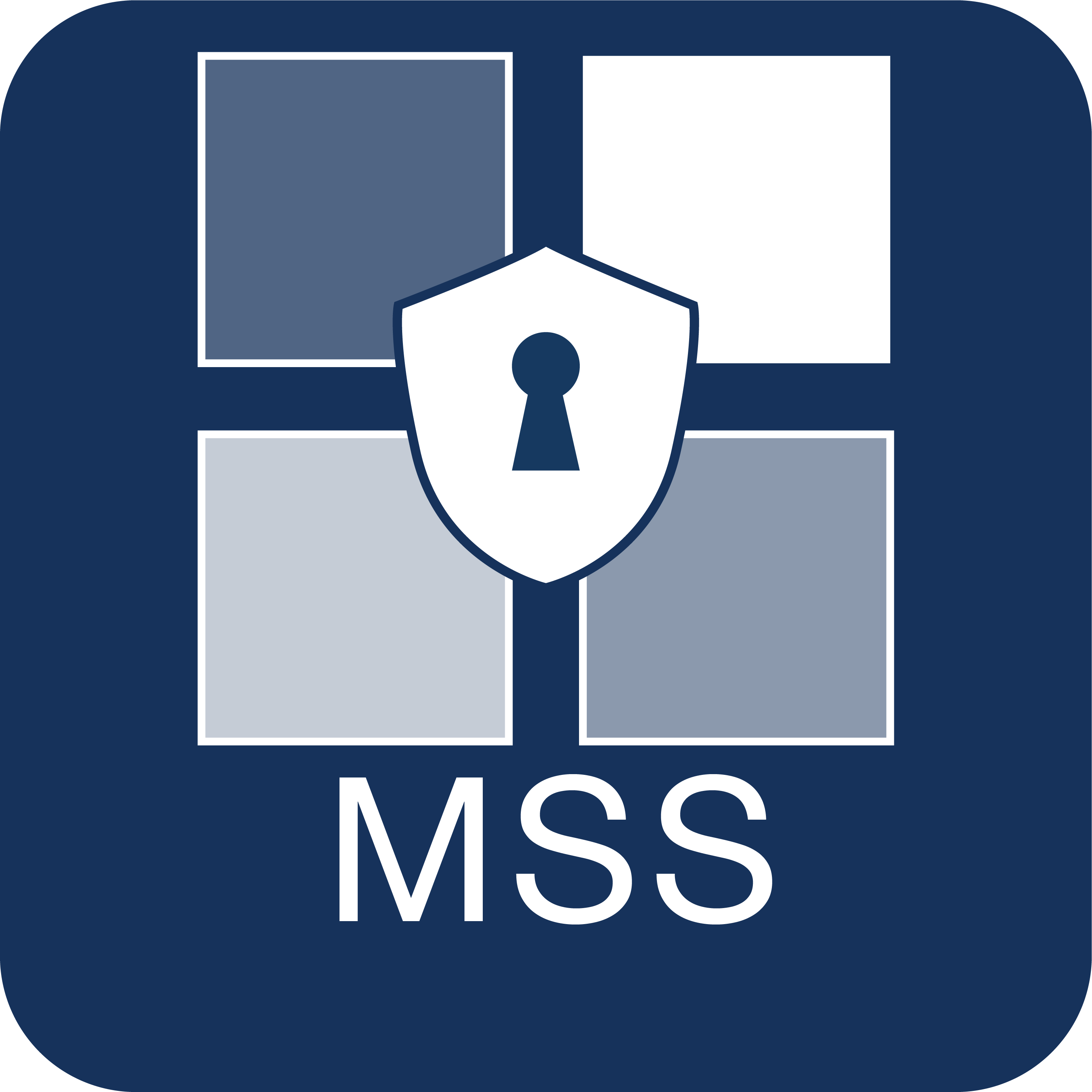 MSS3