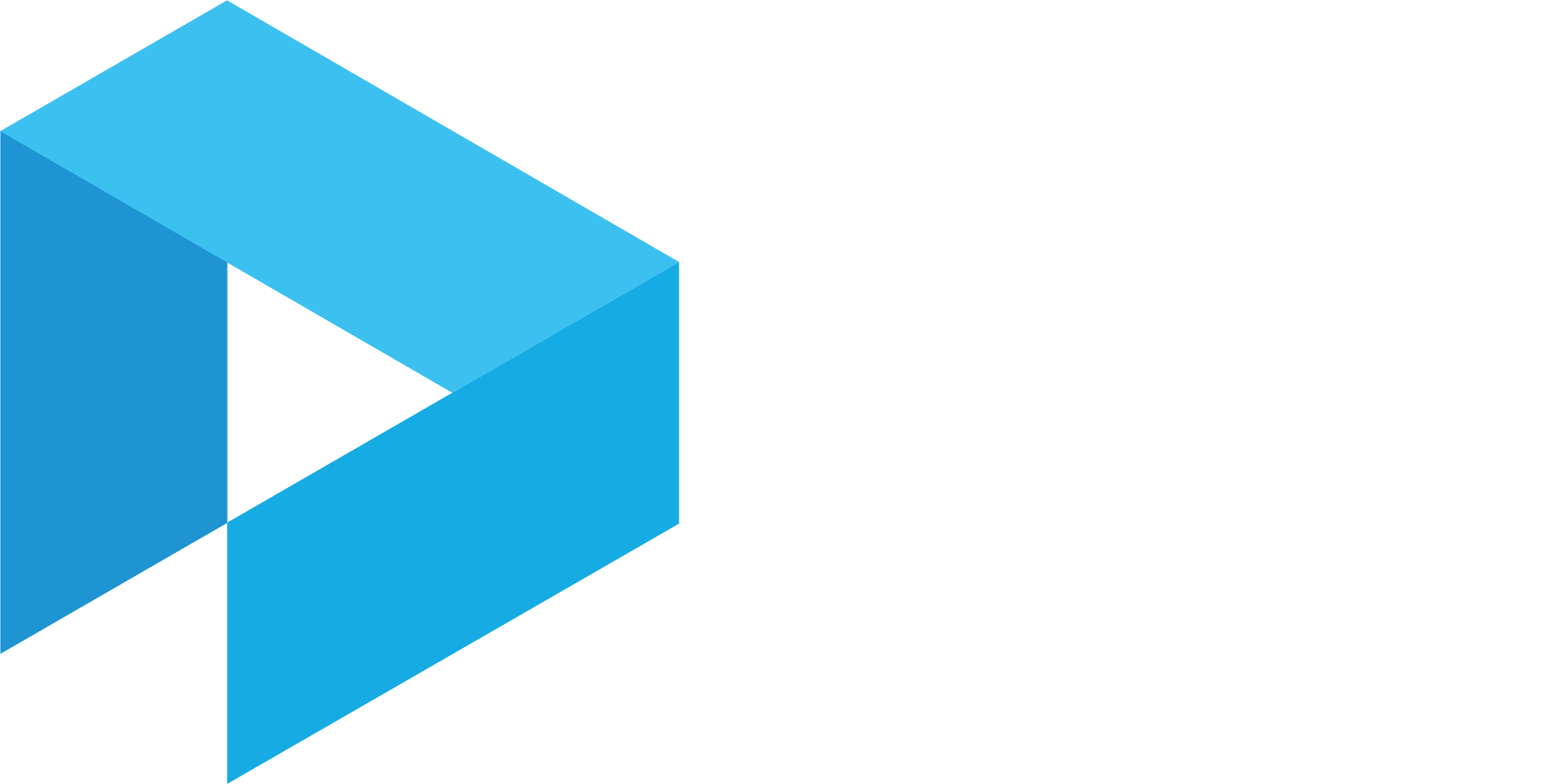 DNS white Logo