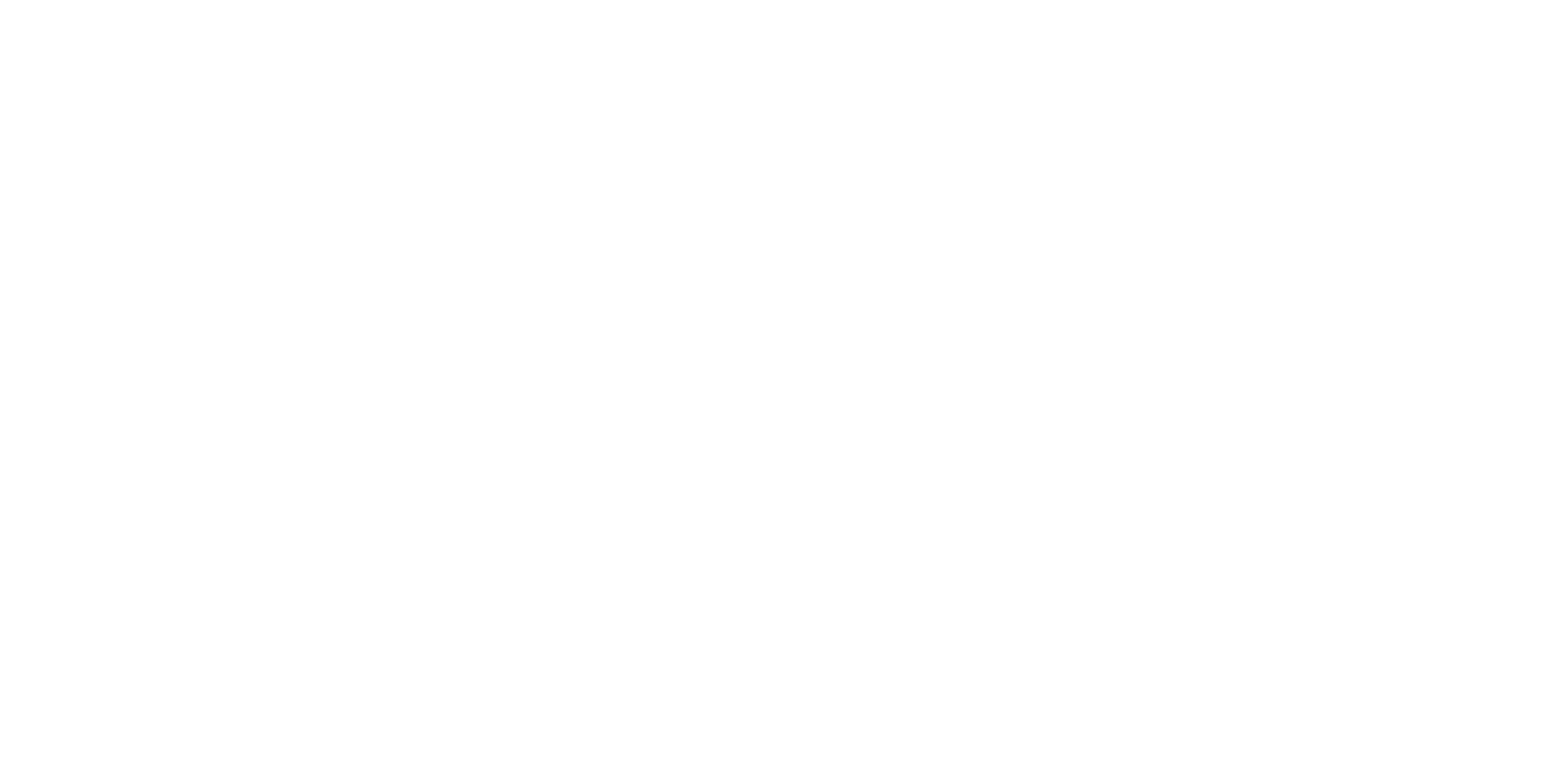 netsys-logo (1)